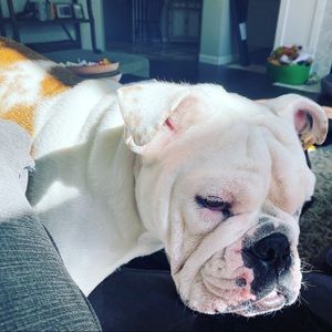 Meet your Posher, Anna